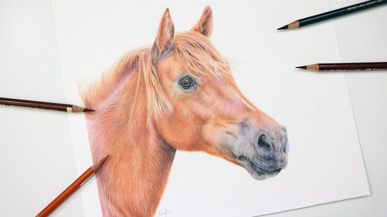 How To Draw a Horse With Colored Pencil Drawing Tutorial YouTube