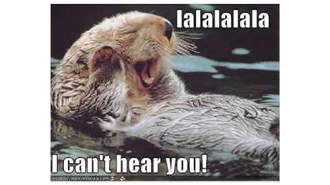 Erin McKean: If the Word is the Answer Then What is the Question