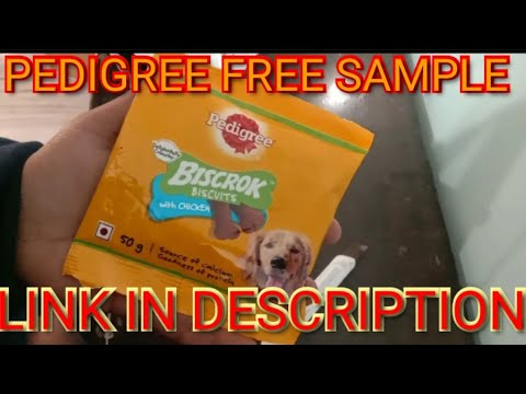 Pedigree Biscuit Free Sample Unboxing Pedigree 100 Free Sample Free Samples January 2022 Biscrok Youtube
