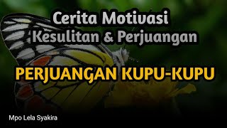 PERJUANGAN KUPU-KUPU - Cerita Motivasi