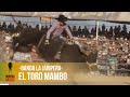 El Toro Mambo - Banda la Jaripera | Morena Music