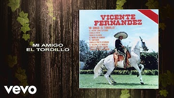 Vicente Fernández - Mi Amigo el Tordillo (Cover Audio)