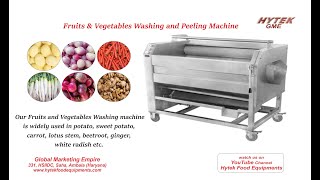 Vegetable Washing Machine - HYTEK GME