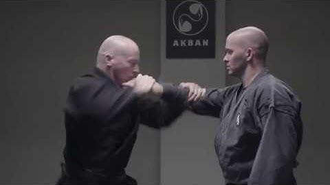 Ninjutsu Hon Gyaku Jime armlock explained - AKBAN Core