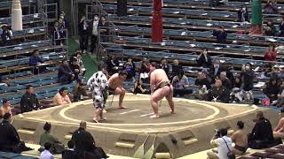 昭和・平成の横綱血族対戦／大鵬孫の納谷と朝青龍甥の豊昇龍が本場所で