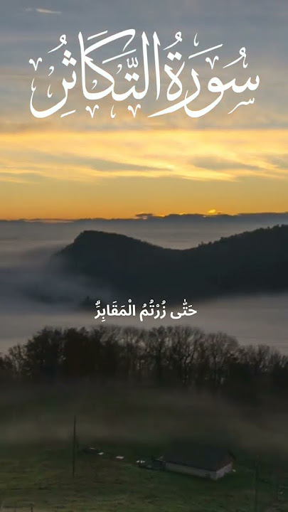 102 - at-Takāthur(1,2)||QURAN RECITATION WITH ENGLISH TRANSLATION || MISHARY AL AFASY ||