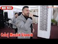 ▶️Formatia Iulian de la Vrancea ❌Nu Sunt barbatul ideal ❌Colaj Muzica Usoara ❌ Live 2023