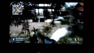 cod 5 (waw) glitches courtyard (wii)