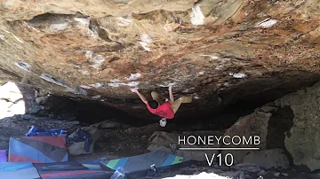 Honeycomb V10