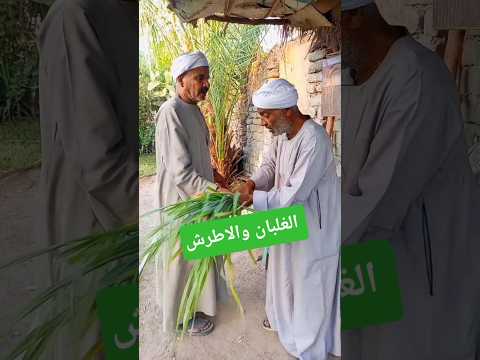 الغلبان والاطرش مريض بالقولون والاسهال