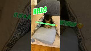 4 Days Until My Birthday