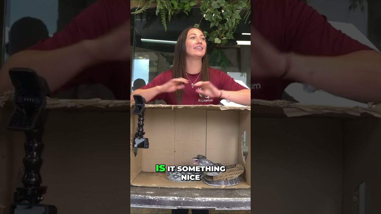 Snake Strikes at Her Face!! 🐍👀😯