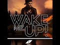 Wake Me Up vs Am I Wrong (Huma Mashup)