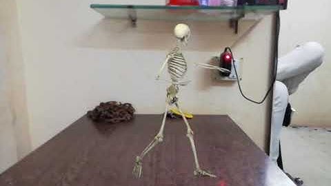 Best app for video editor fx guru