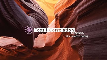 Fossil Correlation Examples