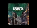 Badness Lyrics