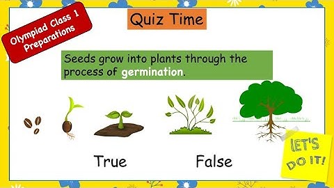 Quiz living and nonliving things |  Olympiad questions for class 1 science #livingandnonlivingthings