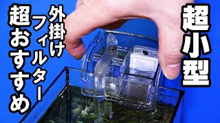 【水槽】超小型ﾌｨﾙﾀｰ・半年使用レビュー&ドンコ１才の誕生日！【アクアリウム】