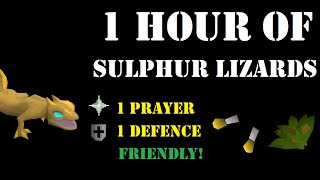 1 Hour of Sulphur Lizards as a Pure (89 Ranged) - OSRS