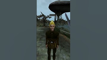 Killing the adoring fan in Morrowind every day until Skywind and Skyblivion are released Day - 193