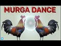 Murga dance || ku ku ku song || murga song dj mix by dipanshu #murgadance #song #murga Mp3 Song