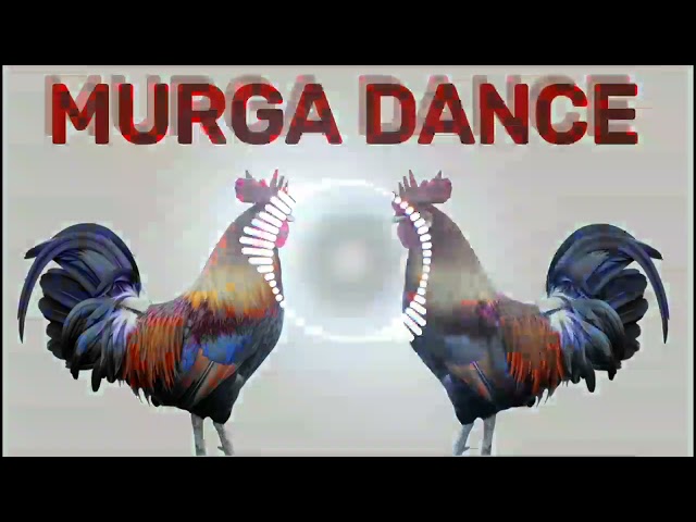 Murga dance || ku ku ku song || murga song dj mix by dipanshu #murgadance #song #murga class=