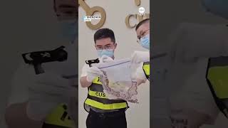 Chinese Customs Agents Catch Man Attempting To Smuggle 104 Snakes In His Pants