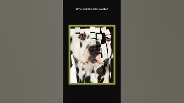 What will it be? #asmr #physics #simulation #satisfying