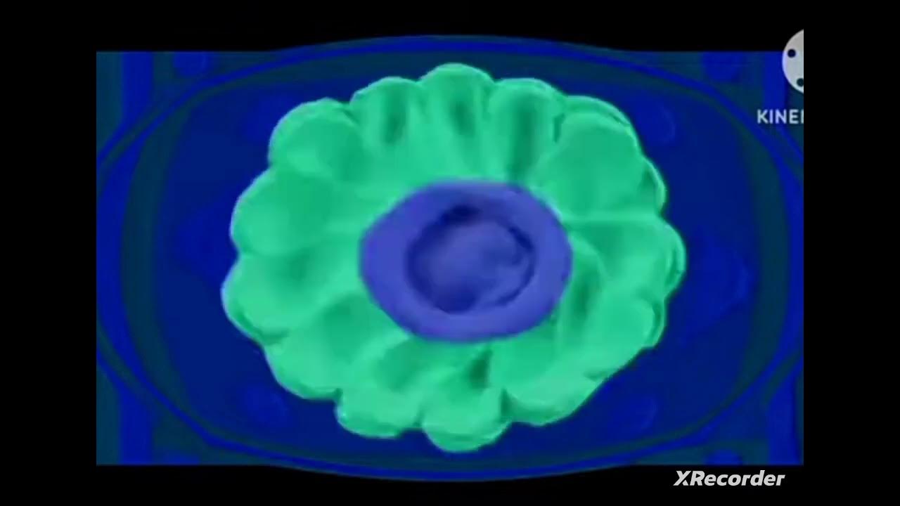 спокойной ночи малыши заставка - YouTube