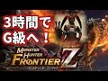 【MHF-Z】新規プレイヤーが1人でG級に上がる方法を紹介