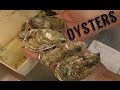 Устрицы | Как открыть и проверить что они живые #морепродукты #устрицы