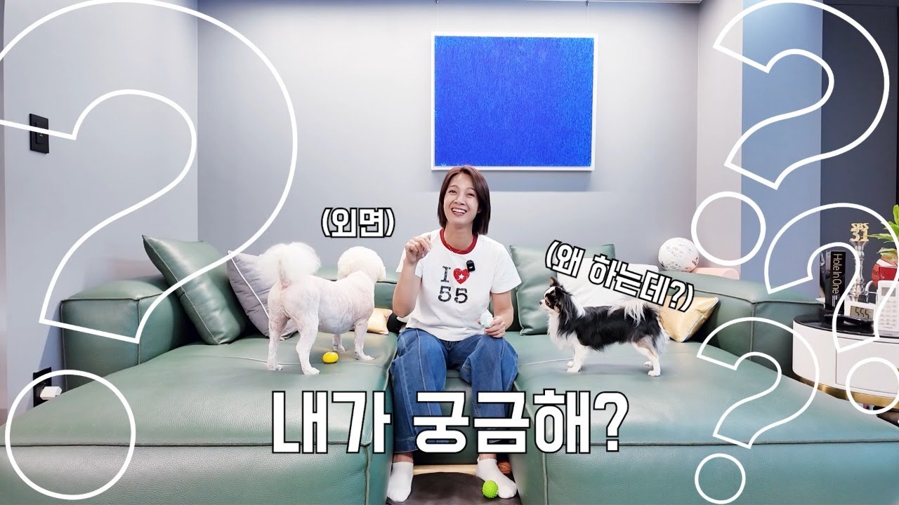선영이가 유튜브를 할까?
