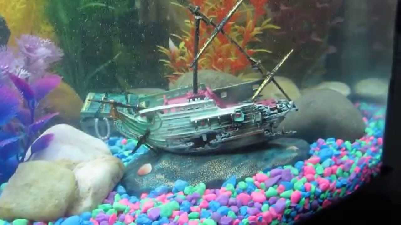 So Long and Thanks For All the Fish - Arré