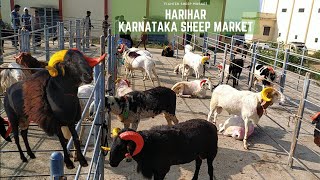 Harihar Karnataka sheep market Part1