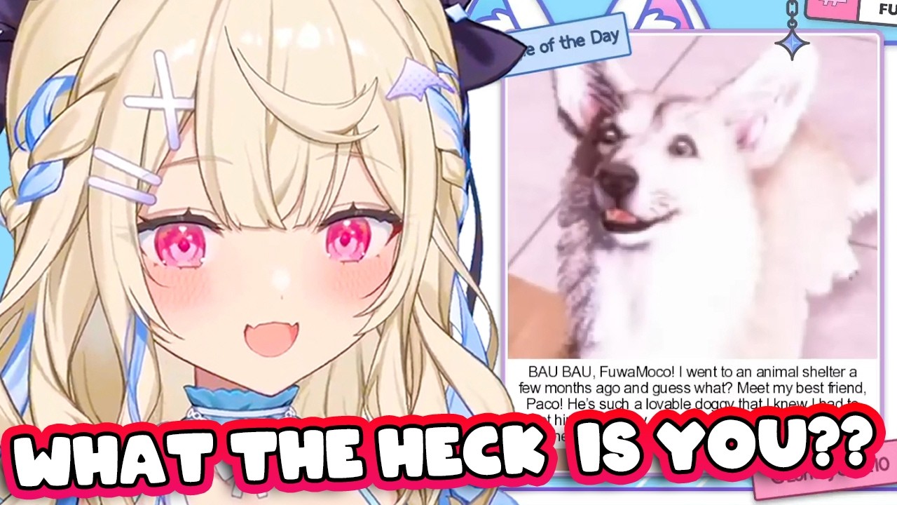 FUWAMOCO can't stop talking sh*t about this dog