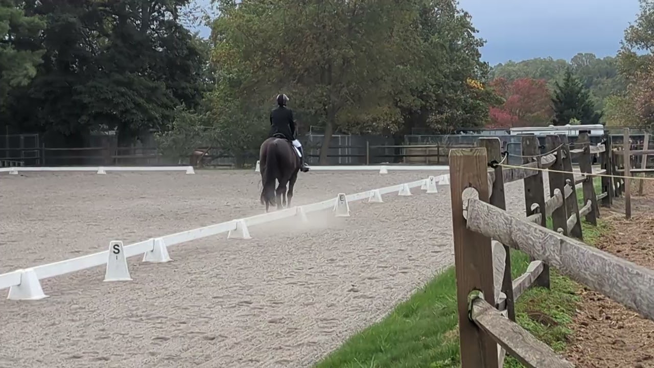 Inky intro C (Elementary) Radnor Hunt Horse Trials