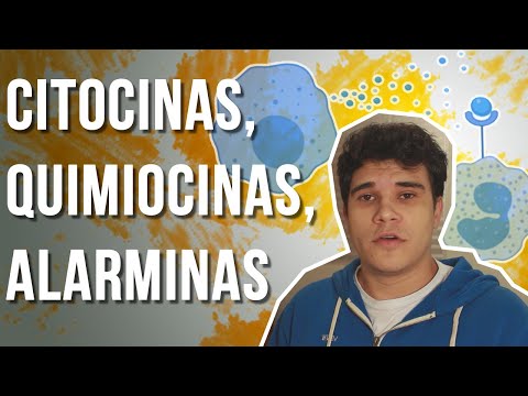 Vídeo: Diferença Entre Citocinas E Quimiocinas