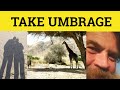 🔵 Umbrage Meaning - Take Umbrage Definition - Take Umbrage Examples - Take Umbrage Etymology
