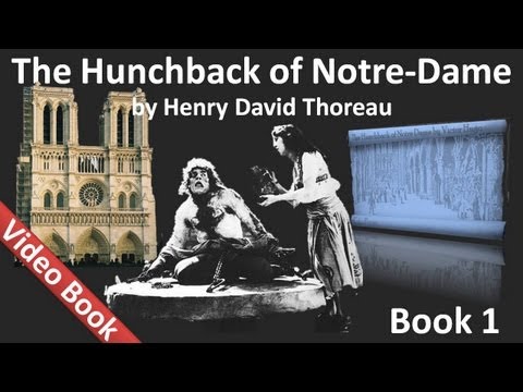 Book 01  - The Hunchback of Notre Dame Audiobook by Victor Hugo (Chs 1-6)