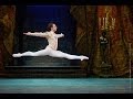 Sergei Polunin - Grand Pas from the ballet Paquita