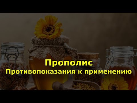 Противопоказания к применению прополиса