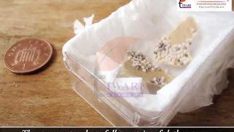 Class 7 Science Chapter 3 Fibre to Fabric - Fibre Silk.