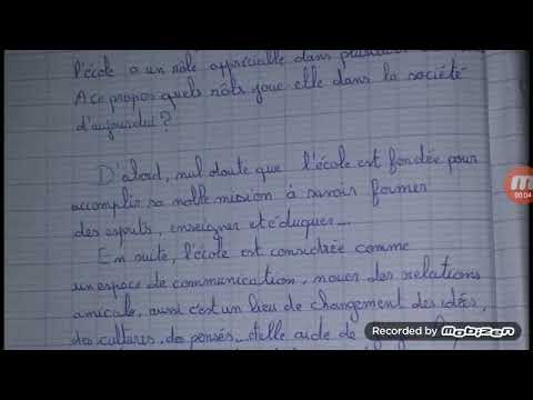 Vidéo: Sécurité estivale: protégez votre chien de ces dangers liés à l'eau