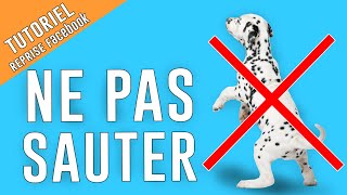 APPRENDRE à son CHIEN à NE PAS SAUTER