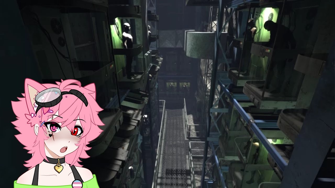 The Finally Finally Finishing This Series Kitty Plays Portal