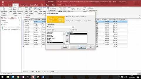 MS Access - Query that Requires True or False