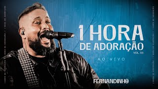 Fernandinho | 1 Hora de Adoração Ao Vivo - Vol. 03