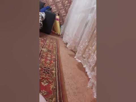 эщькере 😹 - YouTube
