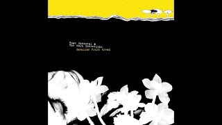 Hope Sandoval & The Warm Inventions - Around My Smile