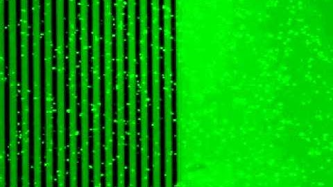 ApoStream Technology - PBMCs repulsion by negative DEP forces